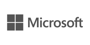 Microsoft Logo Grey